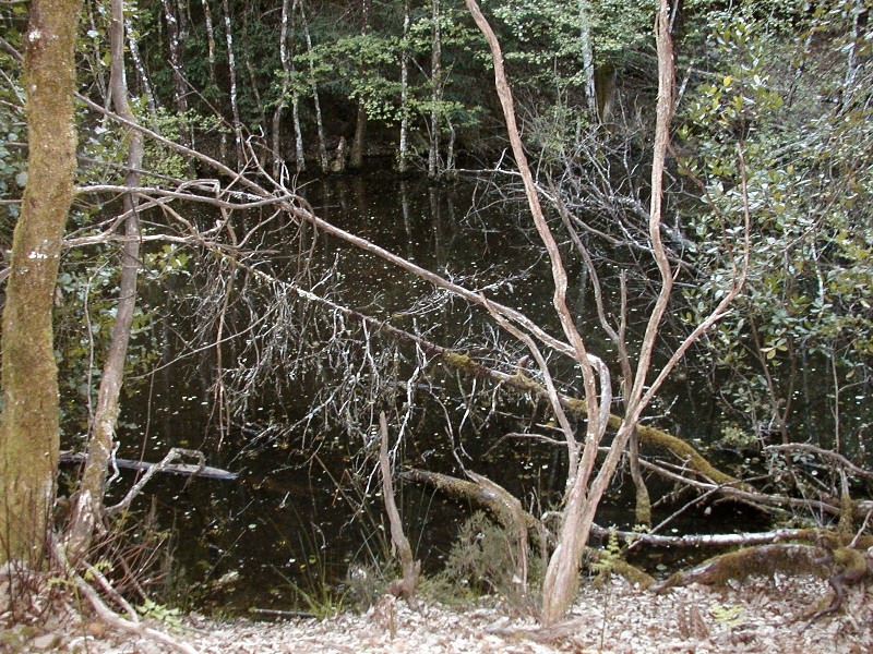 Valle del Farma e Stagno della Troscia: luoghi meravigliosi!